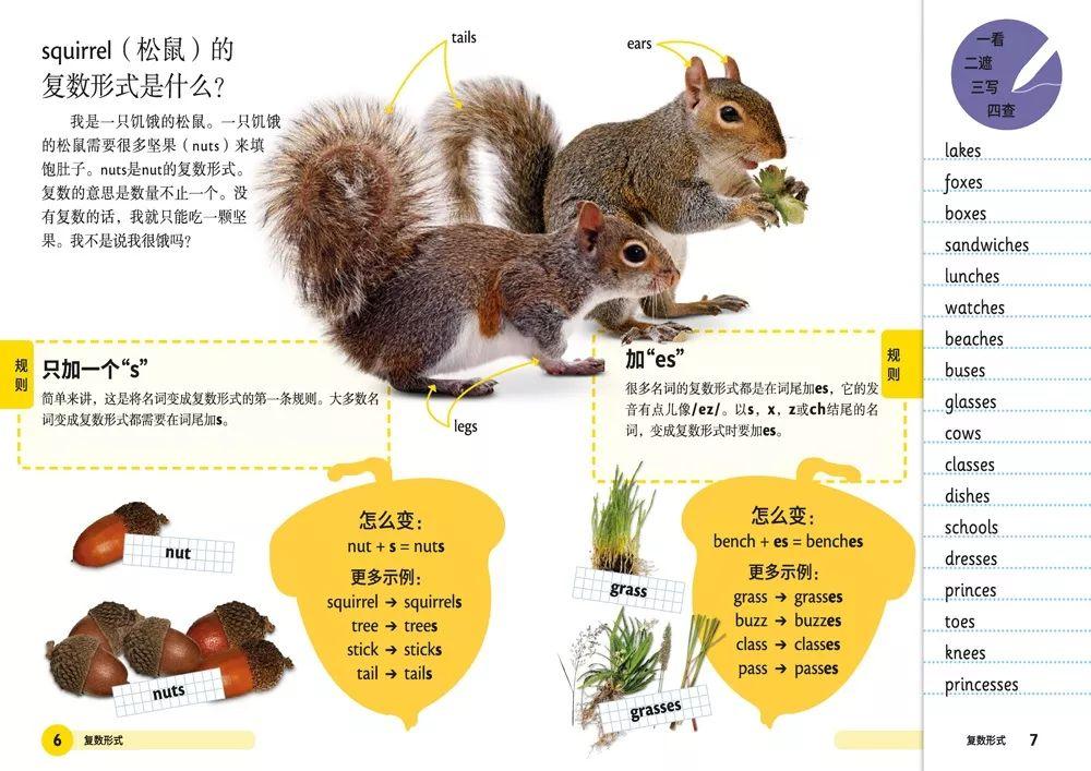 今期生肖三十开,三九四七开一码打一最佳准确生肖，全面释义、前沿解答解释落实