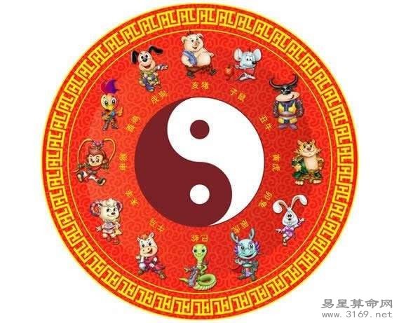 安身立命打一最佳生肖详细解答、解释与落实、时代解答解释落实
