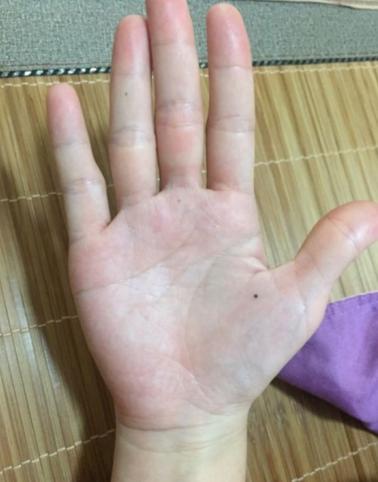 幾分姿色，毋須行乞，女子無財總易得打一正确生肖,警惕虚假宣传、全面解答、全面解答解释落实