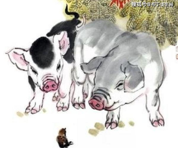 曾经沧海难为水春光美好猪蛇牛是什么生肖警惕虚假宣传、全面解答与解释、综合解答解释落实